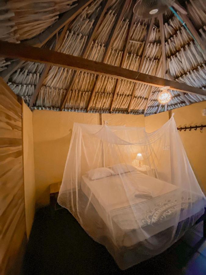 Hostal Zinpar 帕洛米诺 外观 照片