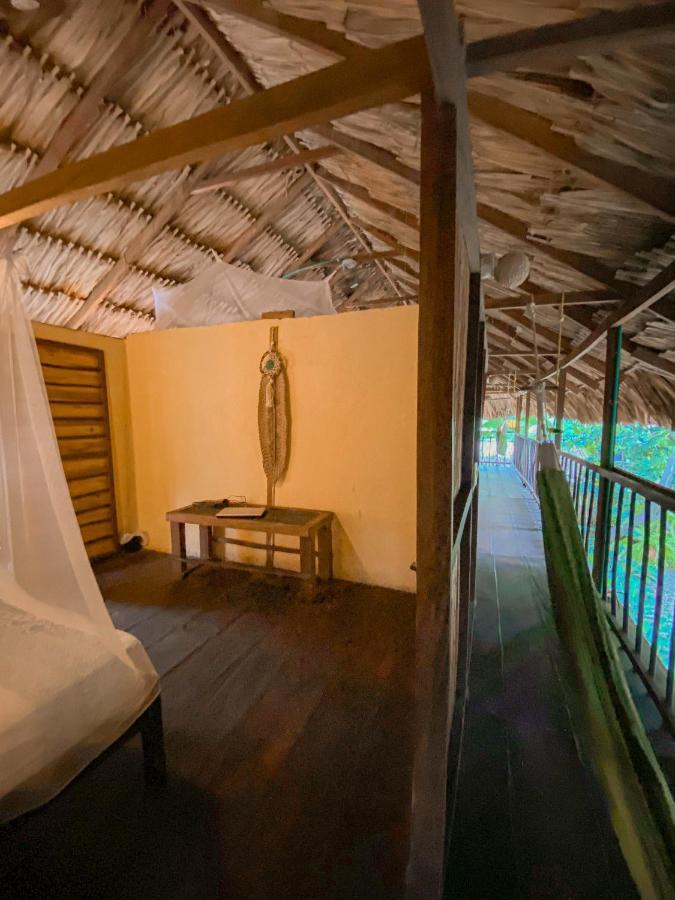 Hostal Zinpar 帕洛米诺 外观 照片