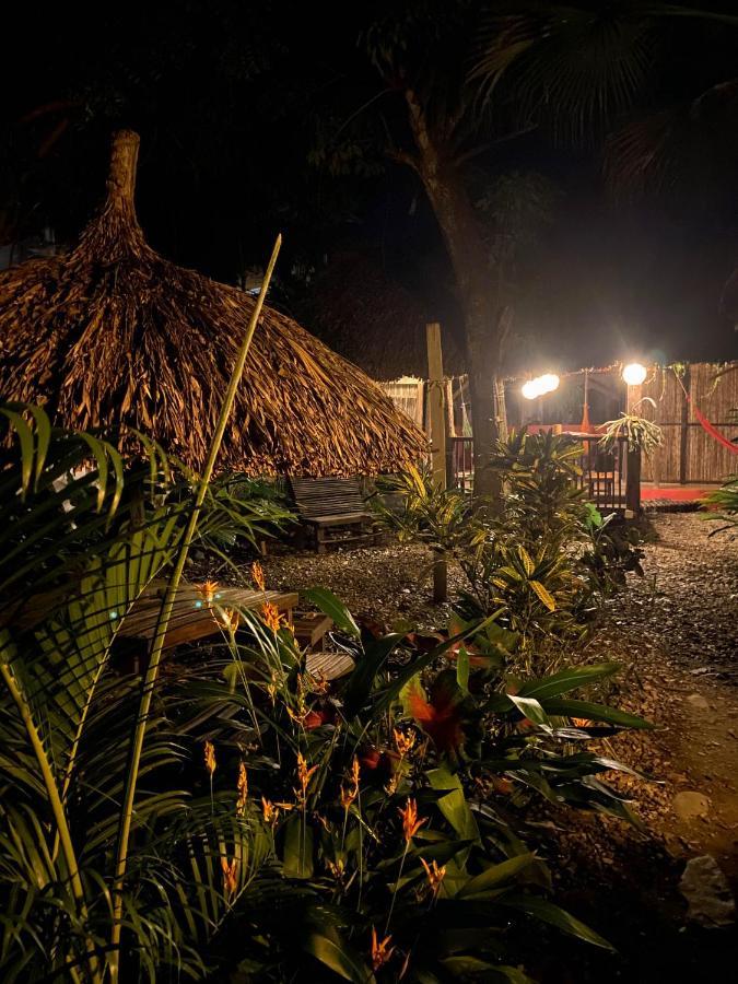 Hostal Zinpar 帕洛米诺 外观 照片