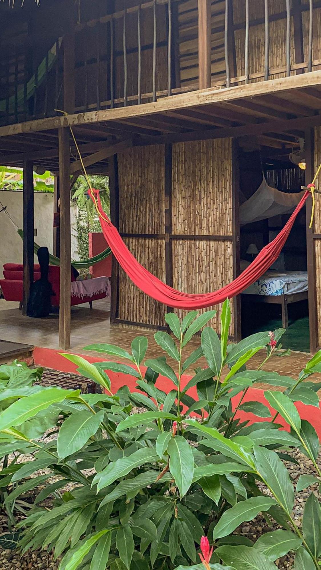 Hostal Zinpar 帕洛米诺 外观 照片