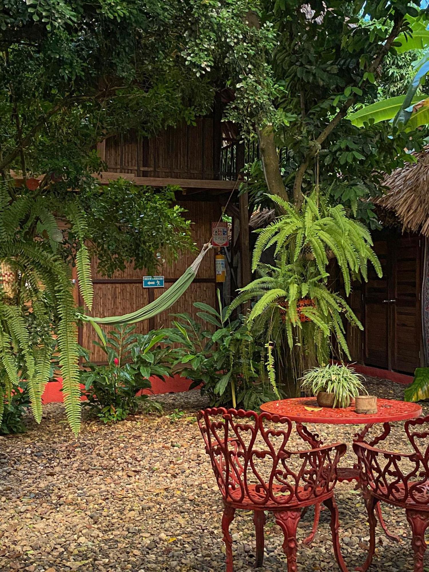 Hostal Zinpar 帕洛米诺 外观 照片