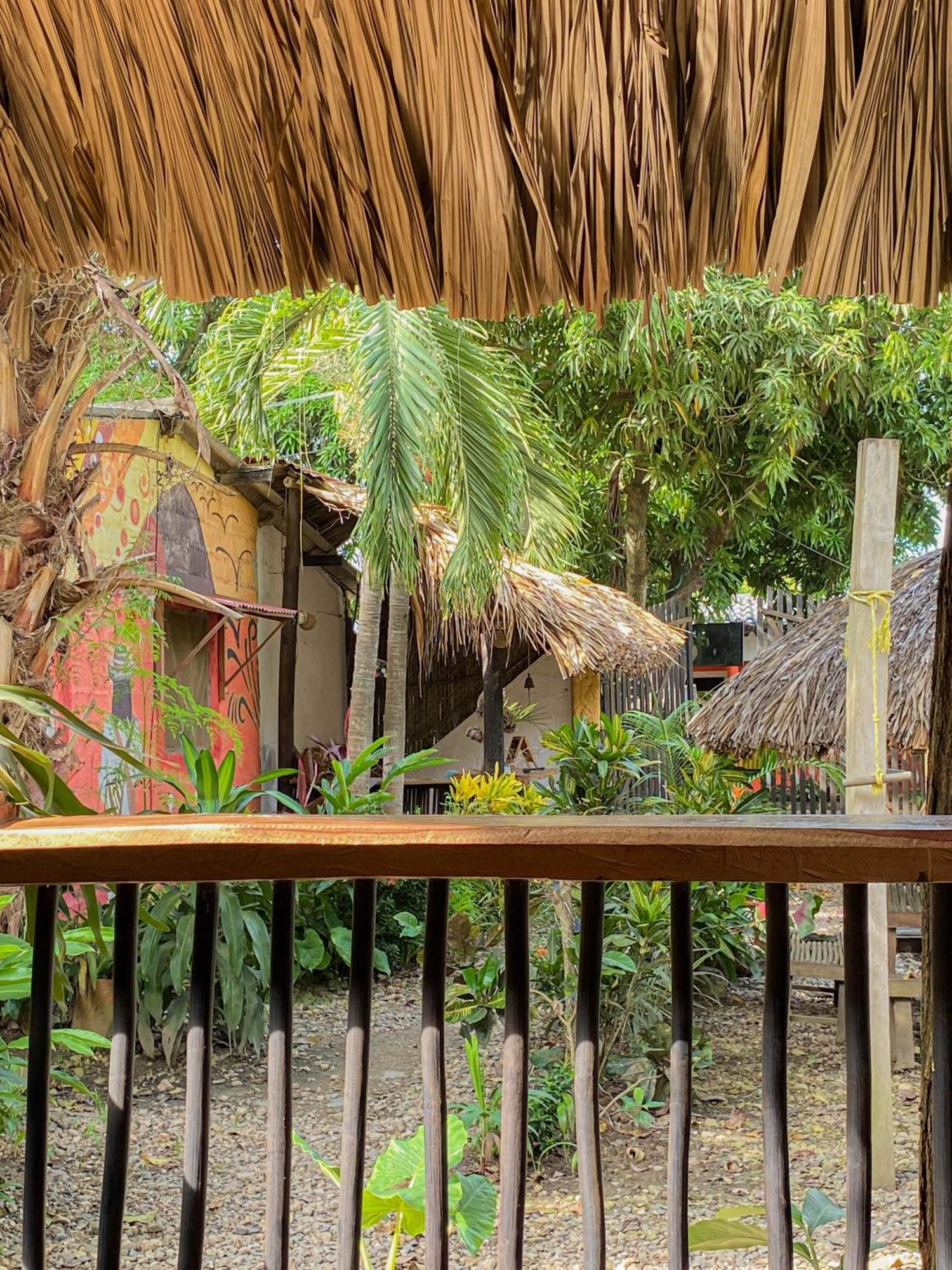 Hostal Zinpar 帕洛米诺 外观 照片