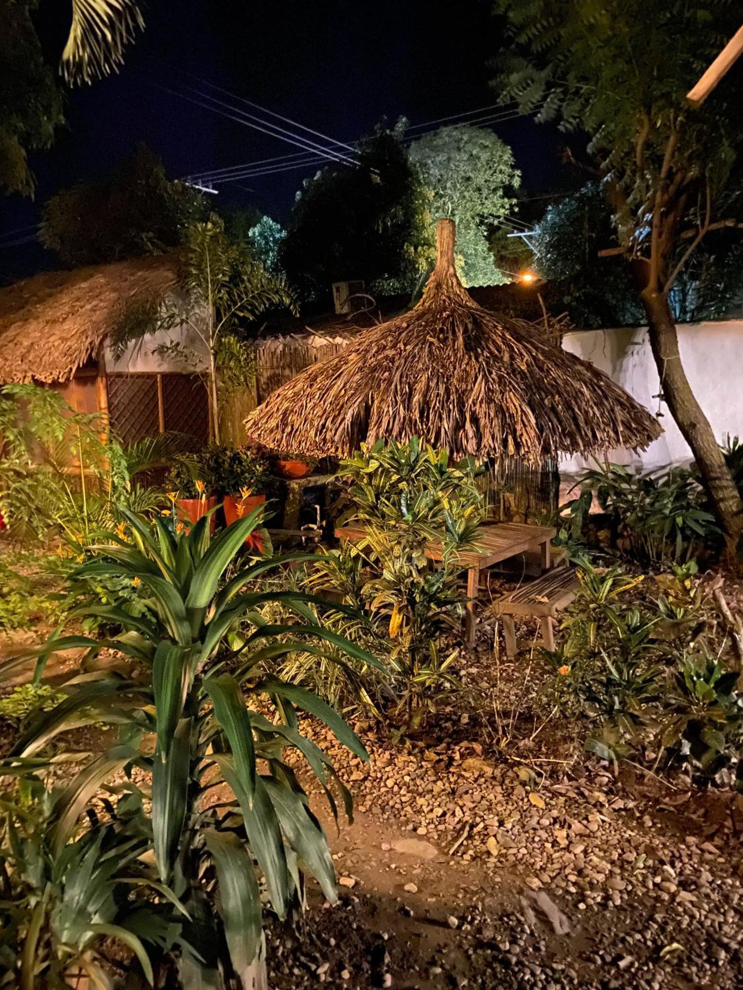 Hostal Zinpar 帕洛米诺 外观 照片