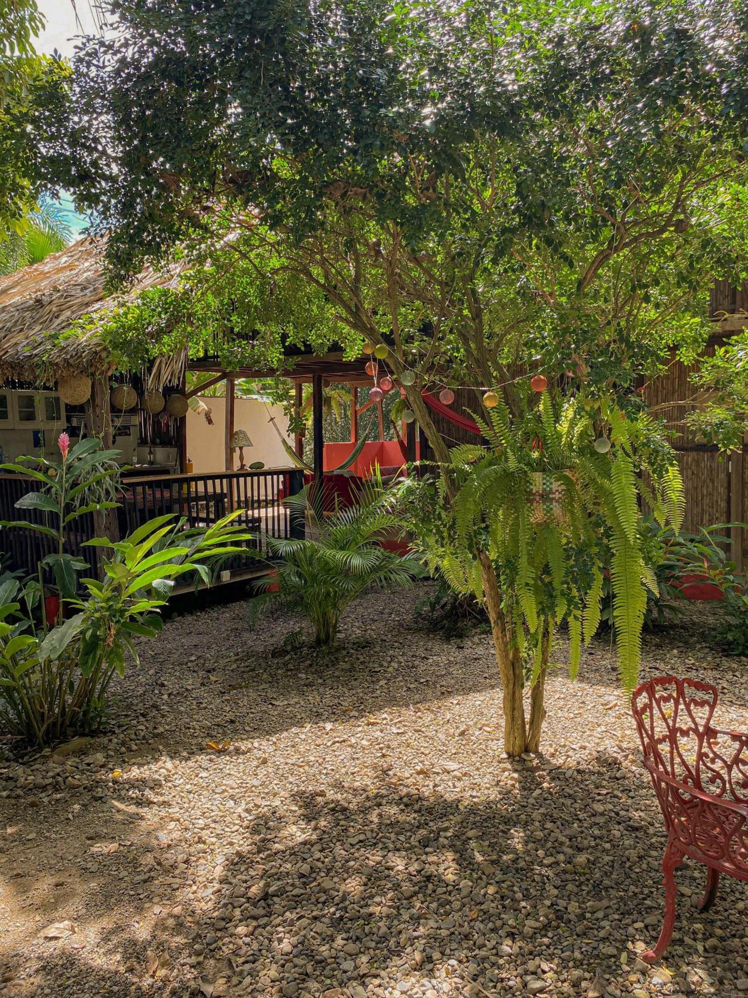 Hostal Zinpar 帕洛米诺 外观 照片