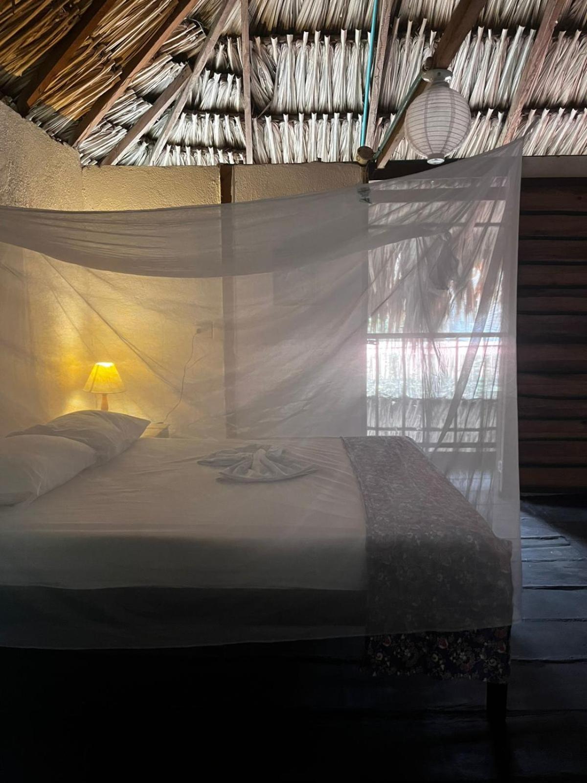 Hostal Zinpar 帕洛米诺 外观 照片