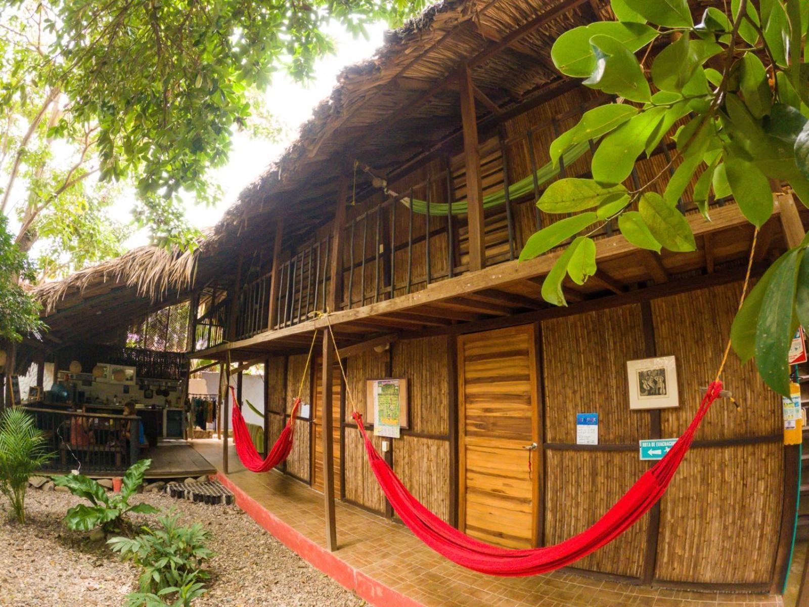 Hostal Zinpar 帕洛米诺 外观 照片